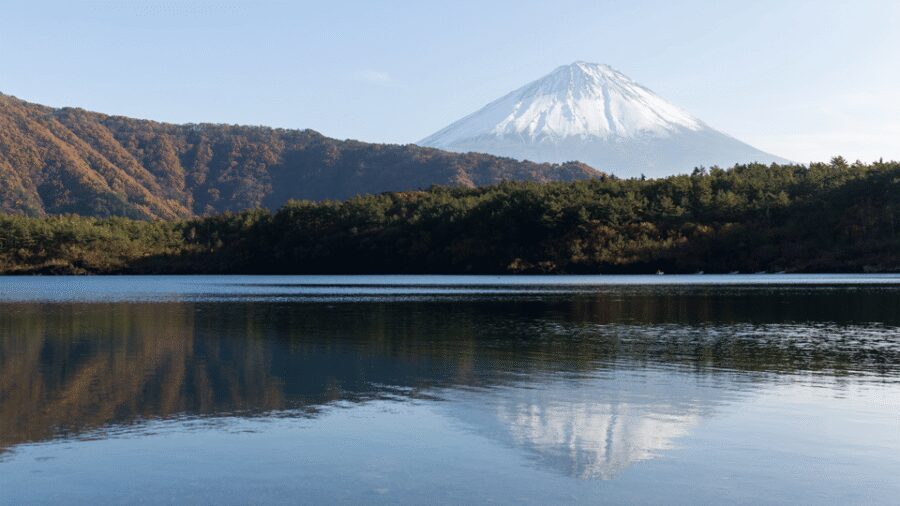 Tokyo: Mt. Fuji Hidden Gems and Aokigahara Forest Tour - Tatego-Hama Beach on Lake Motosuko: clear-water views when the day still has energy