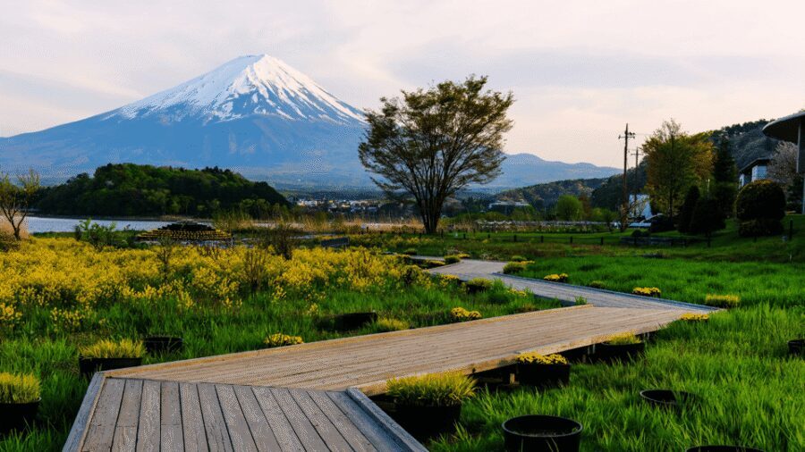 Tokyo: Mt. Fuji Hidden Gems and Aokigahara Forest Tour - Narusawa Ice Cave: volcanic ice you can’t always count on