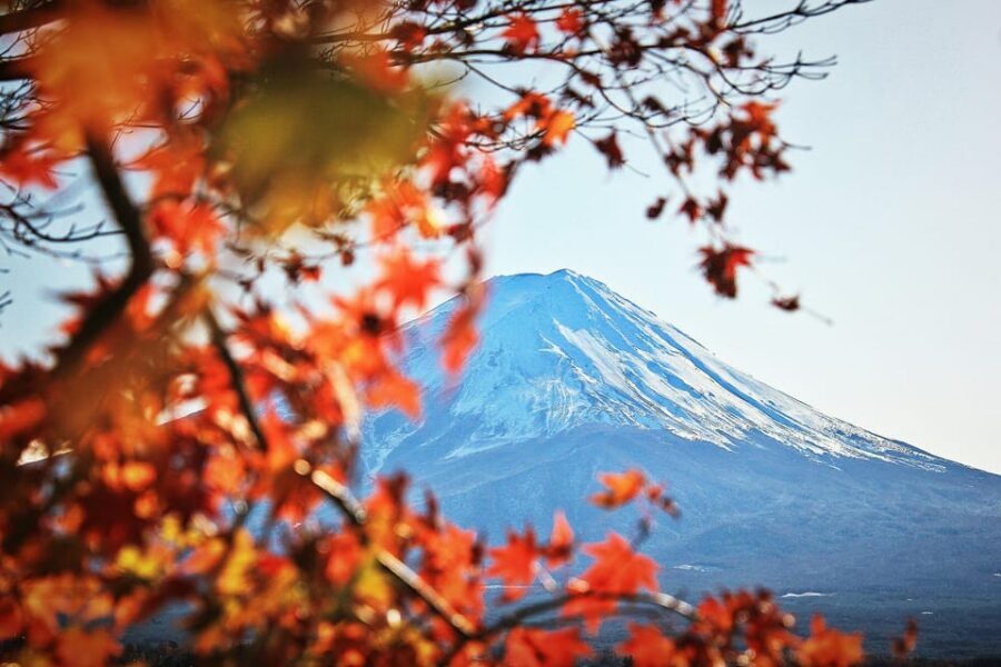 Tokyo: Mt. Fuji Hidden Gems and Aokigahara Forest Tour - Fugaku Wind Cave: geology you can feel in the air (and a silkworm secret)