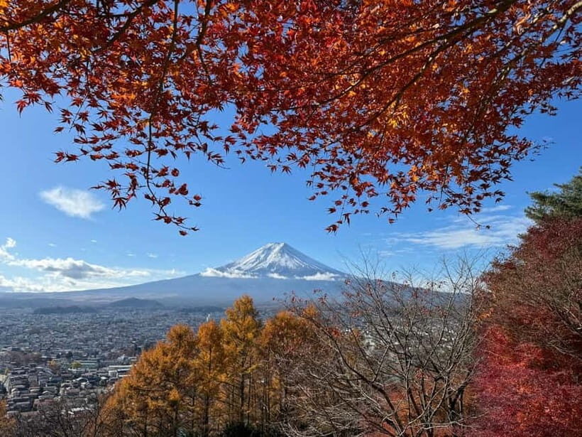 Tokyo: Mt. Fuji Highlights Tour with Lake Kawaguchi Cruise - Arakurayama Sengen Park and the 398 steps (your first best shots)