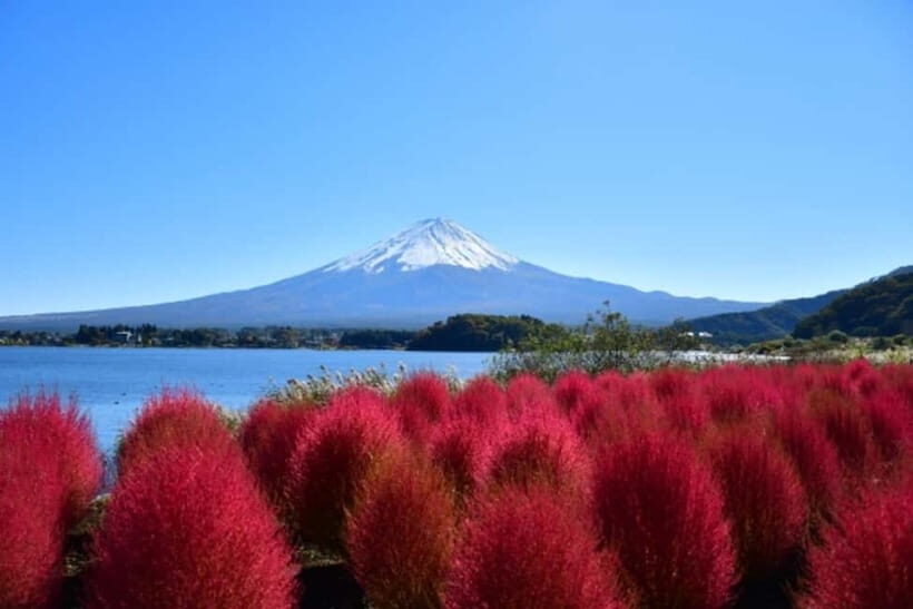 Tokyo: Mt. Fuji Highlights Tour with Lake Kawaguchi Cruise - Walk comfort and weather reality (10 hours is real time)