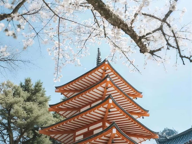Tokyo: Mt. Fuji & Lake Kawaguchi Instagram Full Day Trip - Who This Tour Fits Best (and Who Might Skip It)