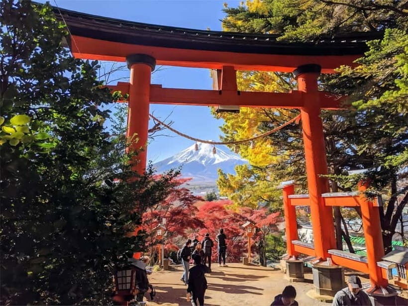 Tokyo: Mt. Fuji & Lake Kawaguchi Instagram Full Day Trip - Price and Logistics: What $61 Buys You (and What It Doesn’t)