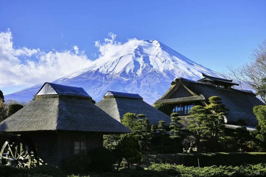 Tokyo: Mt. Fuji & Lake Kawaguchi Private Tour with Transfer - Oshino Hakkai and Sengen shrine visits: the calm side of Fuji