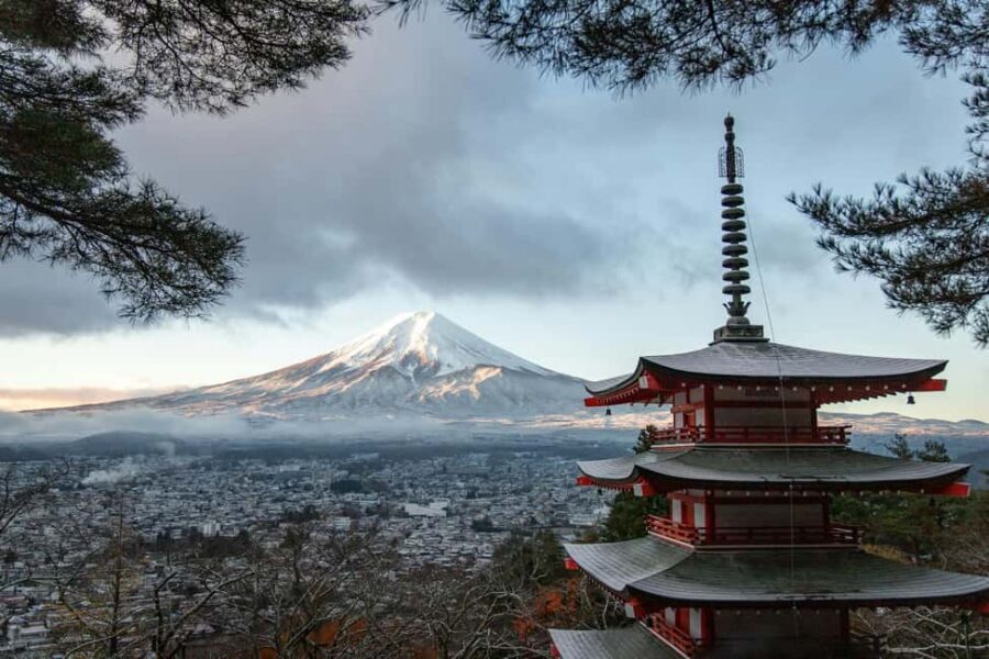 Tokyo: Mt. Fuji & Lake Kawaguchi Private Tour with Transfer - Pickup and timing: how to make the day feel calm, not rushed