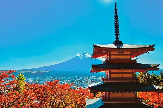 Tokyo: Mt.Fuji & Lake Kawaguchiko 1-Day Bus Tour w/Optional Lunch - Key things to know before you go