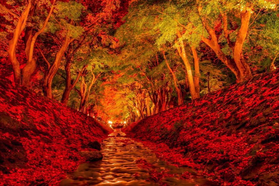 Tokyo: Mt Fuji Lake Kawaguchiko Tour & Arakuyama Sengen Park - Hidakaya Clock Street: a calmer Fuji photo walk under the mountain
