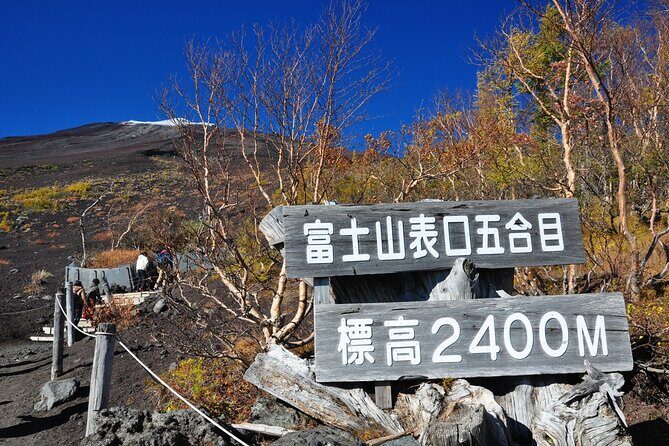 Tokyo: Mt. Fuji, Oshino Hakkai and Gotemba Outlets 1-Day Bus Tour - Key things to know before you go