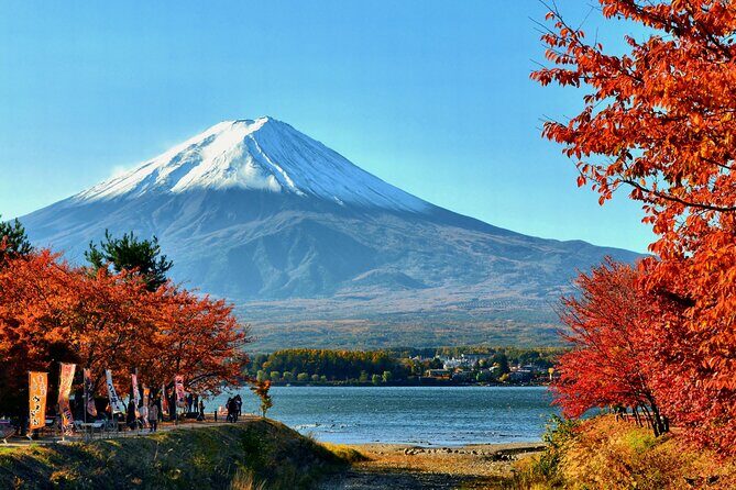 Tokyo: Mt. Fuji, Oshino Hakkai and Gotemba Outlets 1-Day Bus Tour - Price and value: what $56.68 buys you