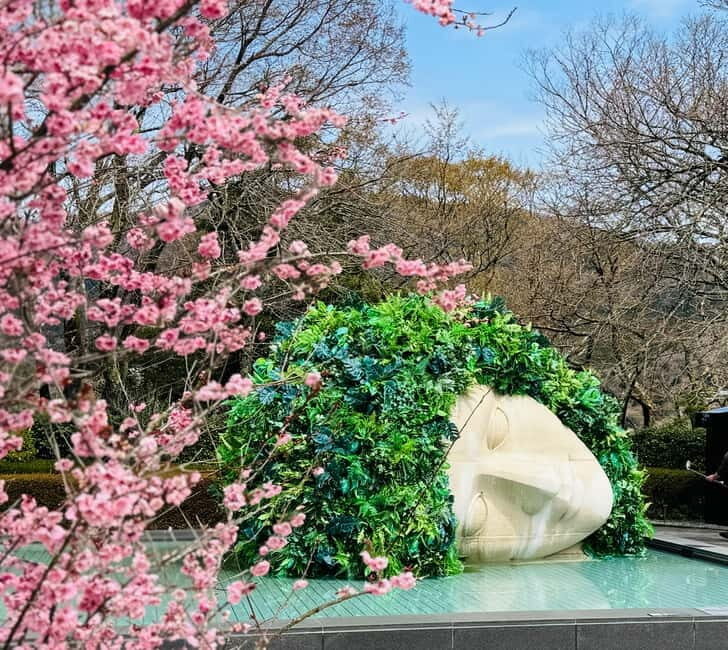 Tokyo: Mt. Fuji, Owakudani, Hakone Shrine, & Open-Air Museum - Tokyo to Hakone in one day: why the timing matters