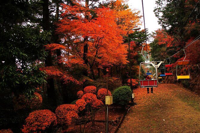 Tokyo: Mt Takao Tour with Ramen and Tattoo-Okay Hot Spring - Key Points If You Want the Best Part of Mt Takao