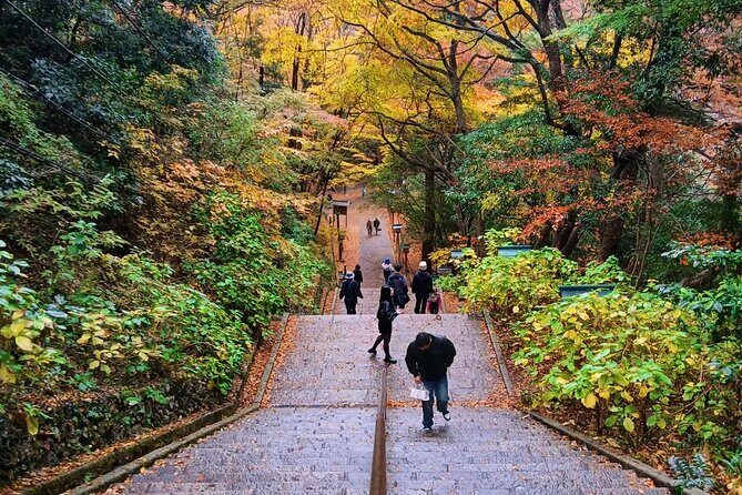 Tokyo: Mt Takao Tour with Ramen and Tattoo-Okay Hot Spring - Monkey Park and Wildflower Garden: Loud Nature, Close Up