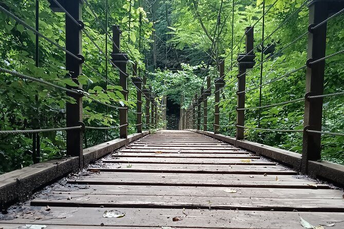 Tokyo: Mt Takao Tour with Ramen and Tattoo-Okay Hot Spring - Hachioji Lunch: Ramen (and Soba) That Actually Fits the Day