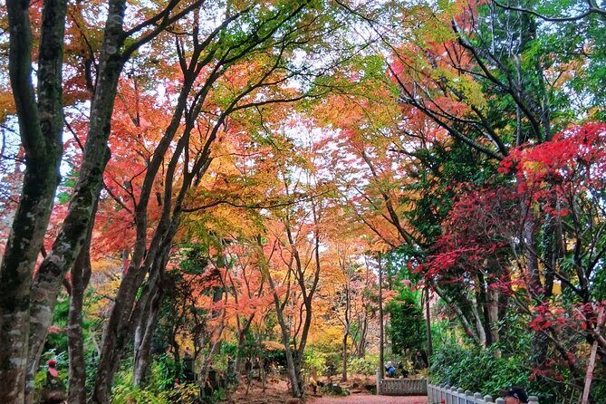 Tokyo: Mt Takao Tour with Ramen and Tattoo-Okay Hot Spring - Getting Started at Takaosanguchi: The Easy Part You’ll Appreciate Later