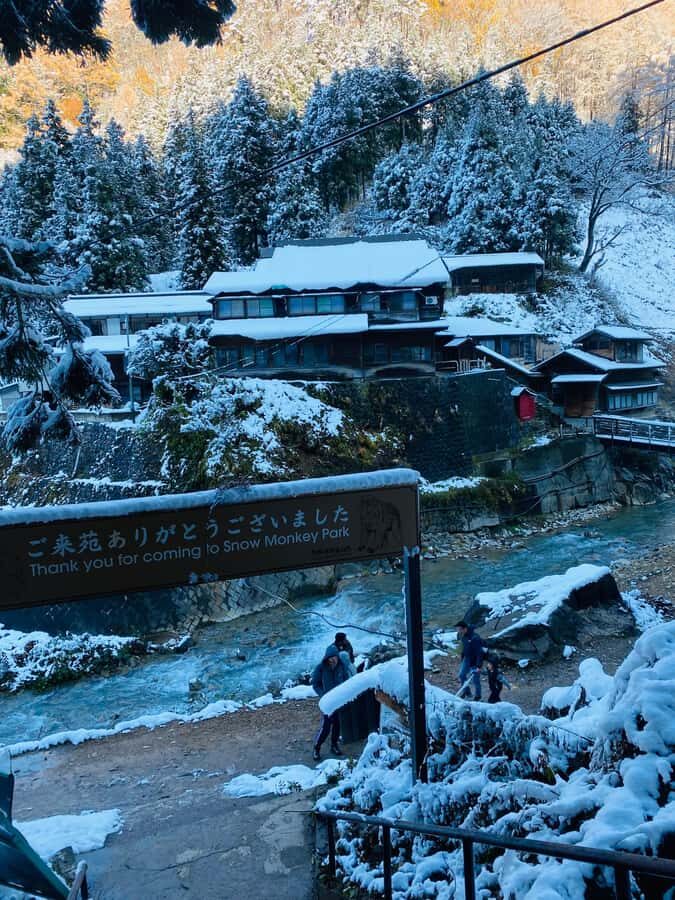 Tokyo/Nagano: private Tour with Snow Monkey Park & Temples - Why Nagano Works as a Private Tokyo Day Trip