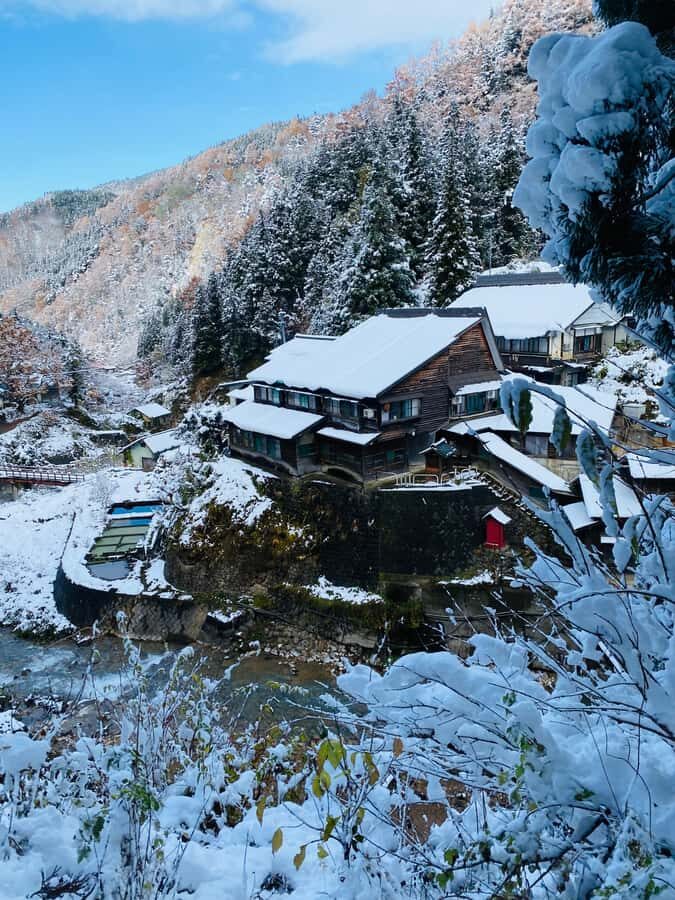 Tokyo/Nagano: private Tour with Snow Monkey Park & Temples - Riding Out From Tokyo: Timing, Comfort, and Winter Reality