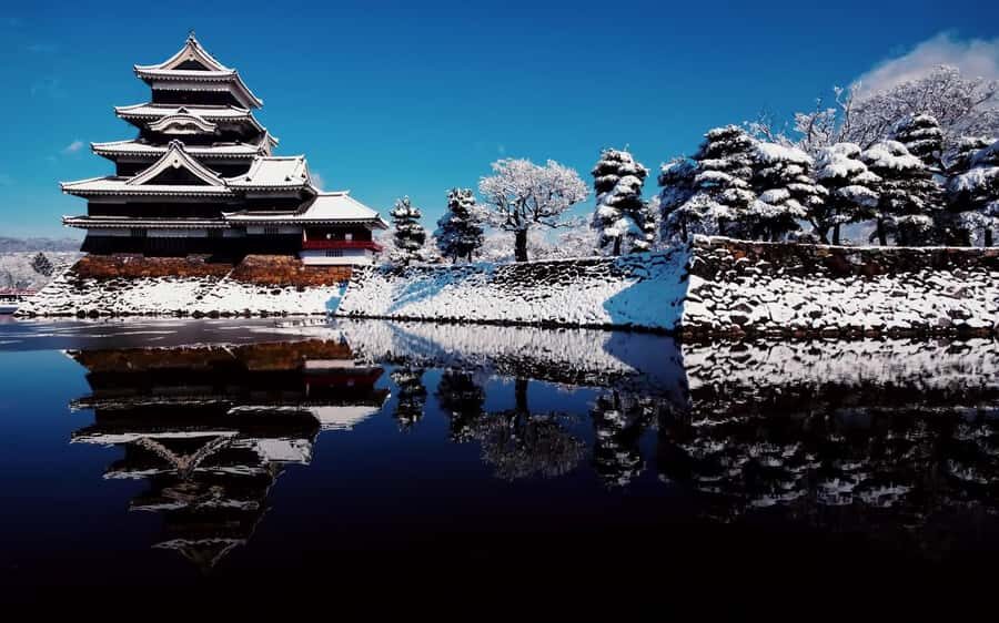 Tokyo/Nagano: private Tour with Snow Monkey Park & Temples - What to Bring (and Wear) So the Day Feels Easy