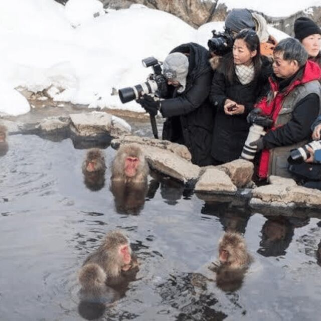 Tokyo: Nagano Snow Monkeys and Zenkoji Tour with Temples - A Nagano Day Trip That Feels Low-Stress From Tokyo