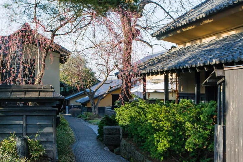 Tokyo: Nagano Snow Monkeys and Zenkoji Tour with Temples - Shibu Onsen: Hot-Spring Village Photos Without the Chaos