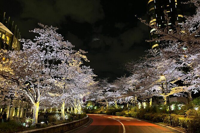 Tokyo Night Bike Tour: From Shibuya to Tokyo Tower via Roppongi - Gear, Pace, and the Cycling Confidence Check