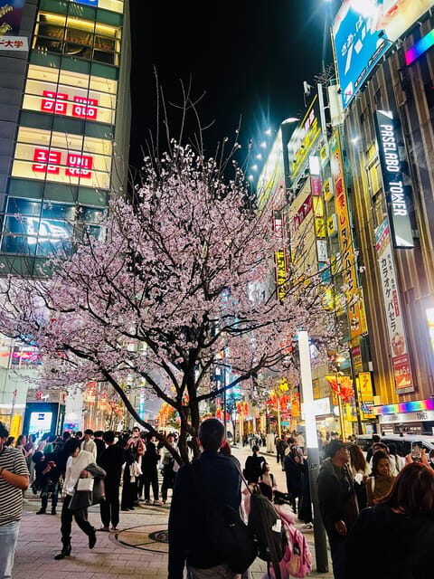 Tokyo Night Drive Wangan Expressway and Daikoku PA - How the Tour Uses Break Time for Shopping and a Reset