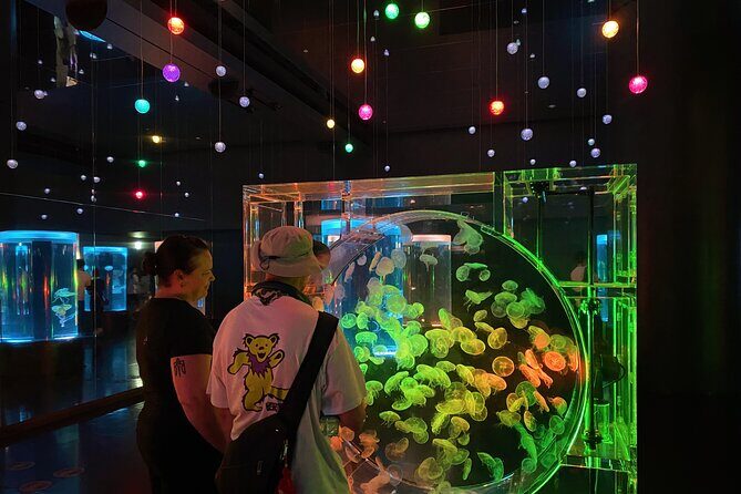 Tokyo Night E-Bike Tour with Tokyo Tower and Dolphin Show - Stop 1: Maxell Aqua Park Shinagawa and the dolphin show