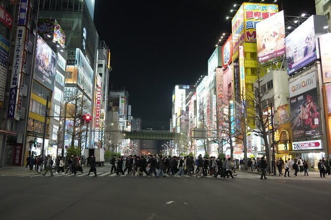 Tokyo Night Tour Akihabara, Shibuya, Karaoke and City Lights - Ueno Park at Dusk: Temples, Pond Views, and a Calm Reset