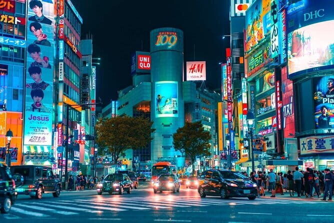 Tokyo Night Tour Customizable - Private, Customizable Guide + Pickup: The Big Practical Advantage