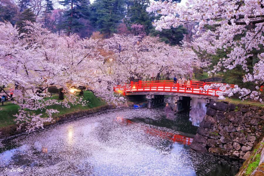 Tokyo: Nikko Day Tour Shrines, Lake Chūzenji & Kegon Falls - How the Private Nikko Day Trip Runs From Tokyo