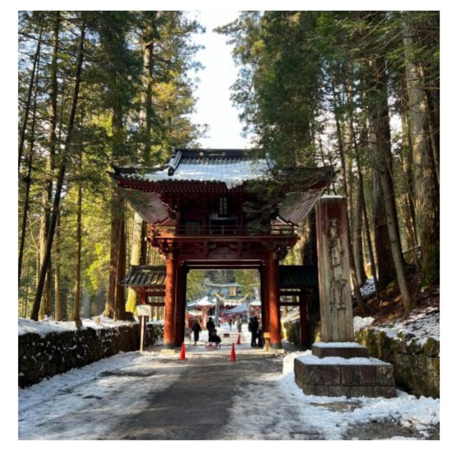 Tokyo: Nikko Day Tour Shrines, Lake Chūzenji & Kegon Falls - Timing Tip: Why Starting Early Saves You From Tokyo Traffic