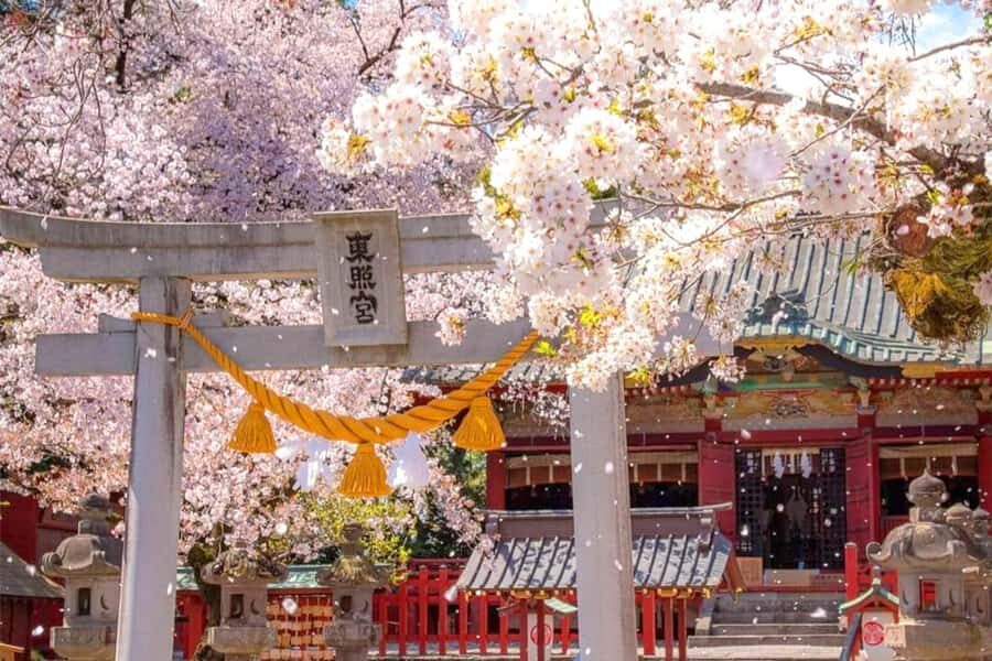 Tokyo: Nikko Day Tour Shrines, Lake Chūzenji & Kegon Falls - Shinkyo Bridge: Red, Simple, and Surprisingly Photogenic