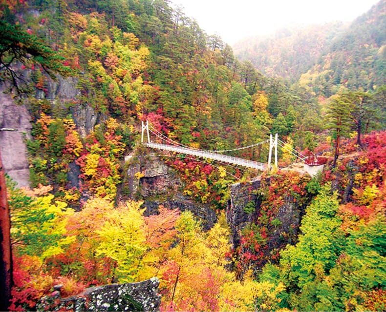 Tokyo: Nikko Day Tour with English Driver and Flexible … - The real secret: how the driver keeps the day smooth (and on time)