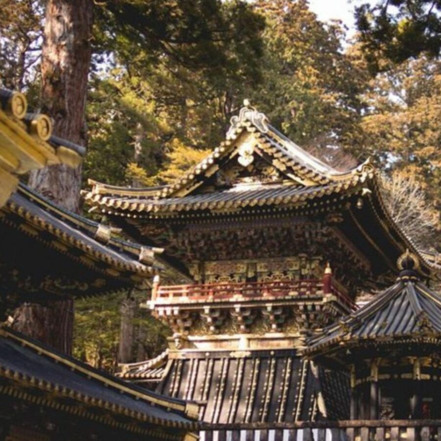 Tokyo: Nikko Kegon Falls Lake Chuzenji Toshogu Temple & More - Lake Chūzenji: a highland lake moment before the shrine rush