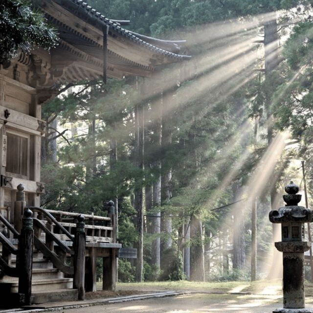 Tokyo: Nikko Kegon Falls Lake Chuzenji Toshogu Temple & More - Kegon Falls: the 97-meter drop you can’t fake in photos