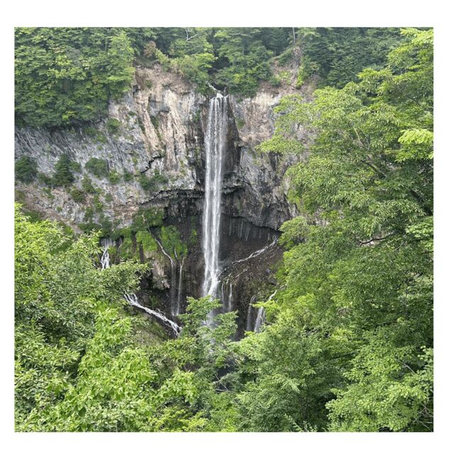 Tokyo: Nikko Kegon Falls Lake Chuzenji Toshogu Temple & More - Luxury pickup in Tokyo: comfort matters on curvy roads