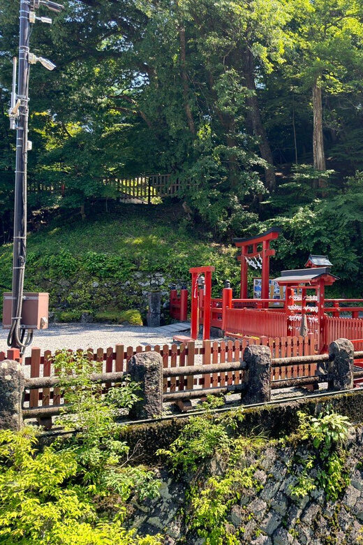 Tokyo: Nikko Private Day Tour - Key highlights you’ll care about