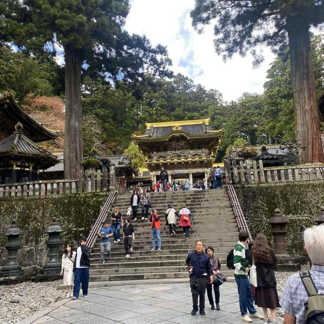 Tokyo: Nikko Private Day Tour Fully Customizeable Low Price - Nikko National Park: Forest Walks and Wildlife Possibilities