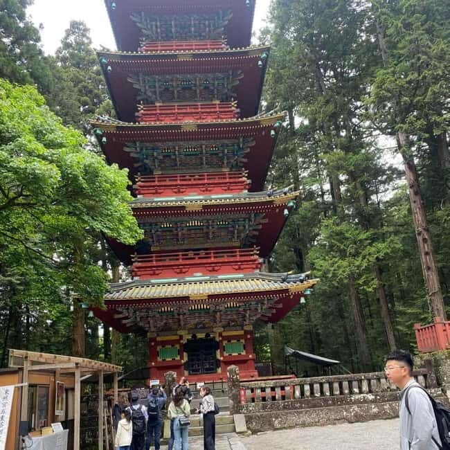 Tokyo: Nikko Private Day Tour Fully Customizeable Low Price - Lunch at a Local Spot: A Simple Break That Helps the Whole Day