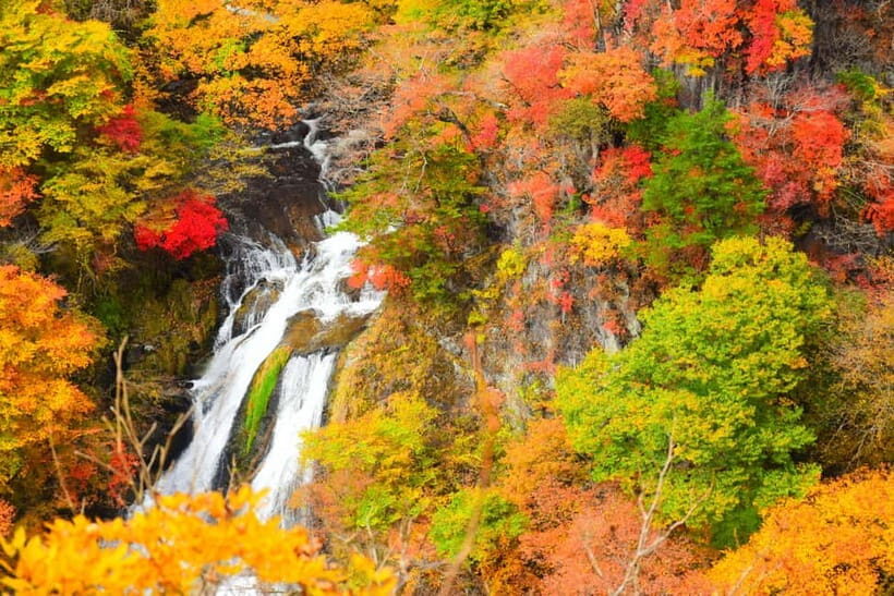 Tokyo: Nikko Private Sightseeing Day Trip with Driver - Toshogu Shrine: where the day’s meaning lives