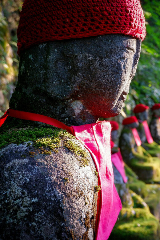 Tokyo: Nikko Private Sightseeing Day Trip with Driver - Practical tips that will make Nikko feel easier
