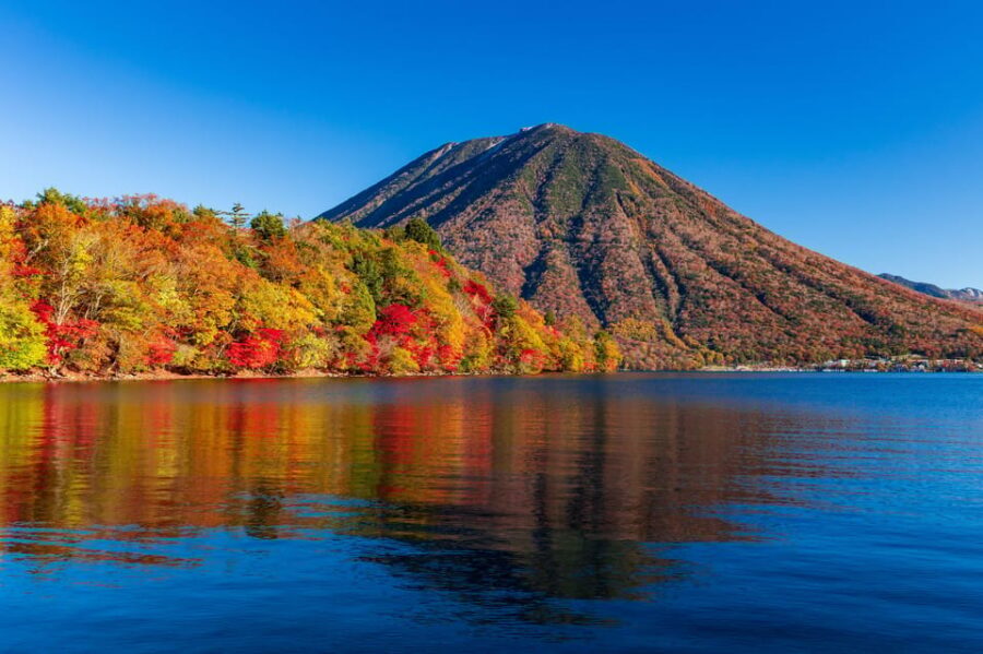Tokyo: Nikko Toshogu Shrine and Kegon Waterfall Tour - Price and Value: What You’re Actually Paying For