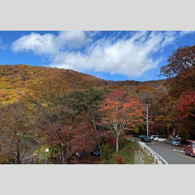 Tokyo: Nikko World Heritage Private Day Trip Hotel Pick-up - Nikko in One Day: Why This Route Works