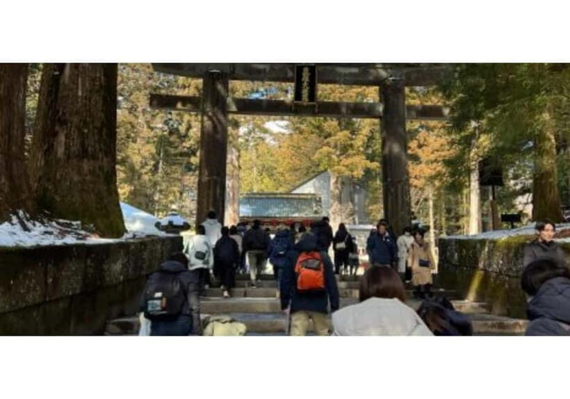Tokyo: Nikko World Heritage Private Day Trip Hotel Pick-up - Toshogu Shrine: The Main Event You Don’t Want to Rush