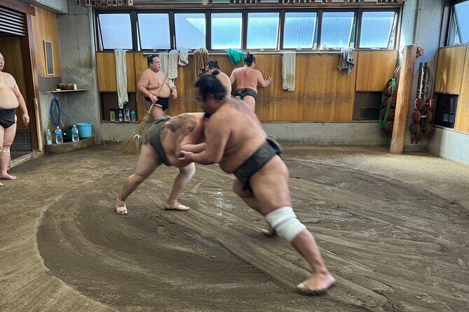 TOKYO , No1 Yokozuna Stable Morning Practice in Ryogoku - Key points to know before you go