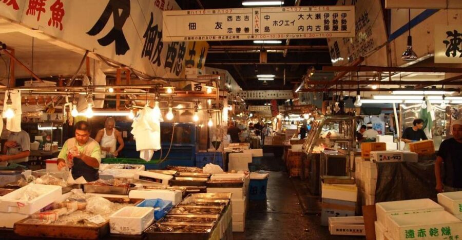Tokyo: Off the Beaten Path Private Guided Tour - Morning pickup, on-foot starts, and using Tokyo transport smartly
