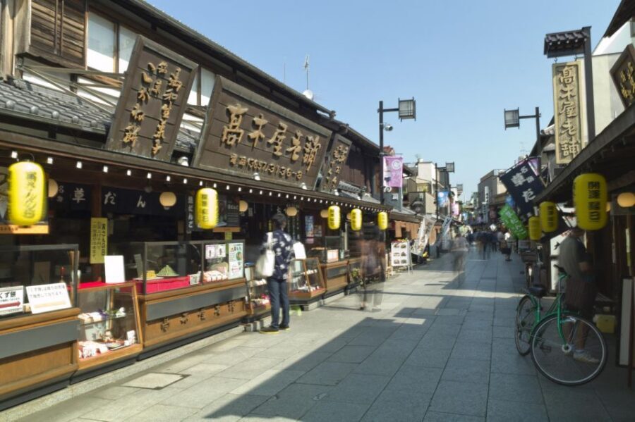 Tokyo: Off the Beaten Path Private Guided Tour - Yanaka Ginza: old-Japan charm with room for modern finds