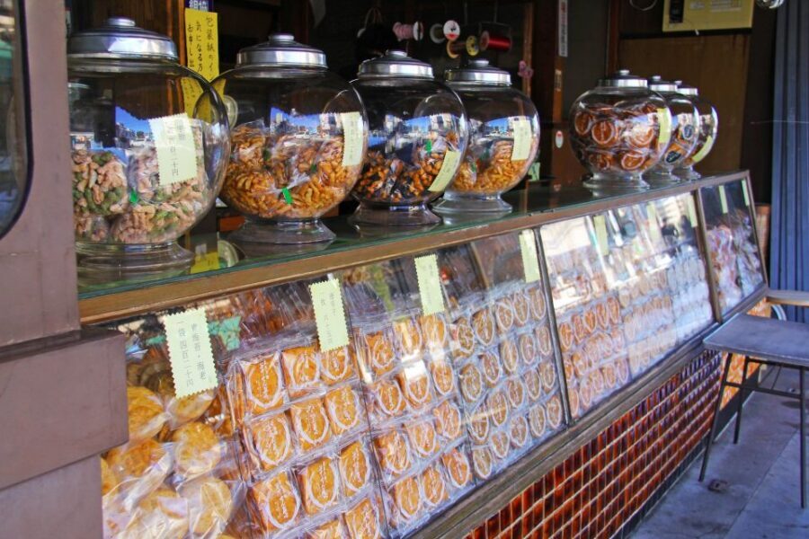 Tokyo: Off the Beaten Path Private Guided Tour - How Asakusa, Nezu, Sendagi, and Fukagawa options fit your interests