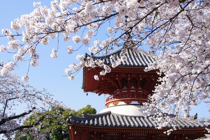TOKYO OishiPark, Oshino & KoedoKawagoe, Fuji Mount - Oshino Hakkai: eight ponds, a thatched village, and a heritage-level stop