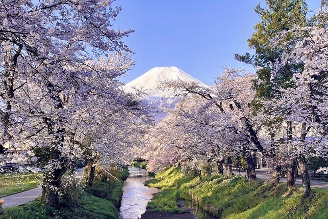 TOKYO OishiPark, Oshino & KoedoKawagoe, Fuji Mount - Koedo Kawagoe, Little Edo: how to make a 3-hour town stop count