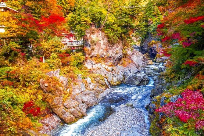 Tokyo Okutama Day Trip Tour - Why Okutama Feels Like Tokyo’s Real Escape Route